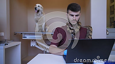 exotic specialist vet