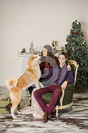 Young happy couple cuddling adorable akita inu dog while sit on stylish retro armchair for Christmas holidays at home. Christmas Stock Photo