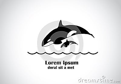 Young happy killer whale orca diving into ocean with its baby Vector Illustration