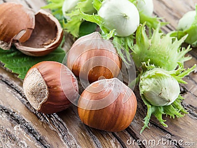 Young hazelnuts and ripe brown hazelnuts Stock Photo