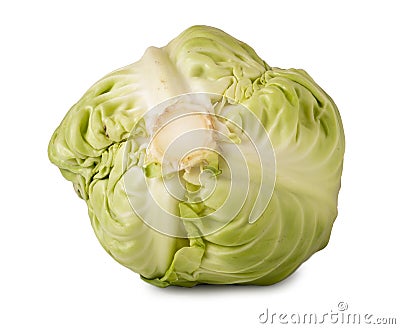 Young head of cabbage on white background Stock Photo