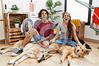 Young hispanic couple doing laundry with dogs angry and mad screaming frustrated and furious, shouting with anger Stock Photo