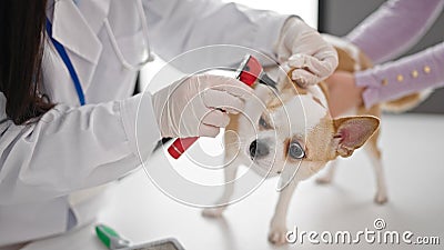 Young hispanic woman with chihuahua dog veterinarian examining dog with otoscope at veterinary clinic Stock Photo