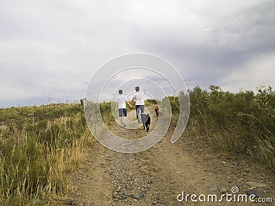 Young homosexual couple walking by the hand with two dogs Stock Photo