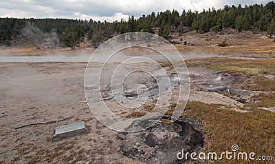 Young Hopeful Geyser next to Firehole Lake in the Lower Geyser Basin in Yellowstone National Park in Wyoming USA Stock Photo