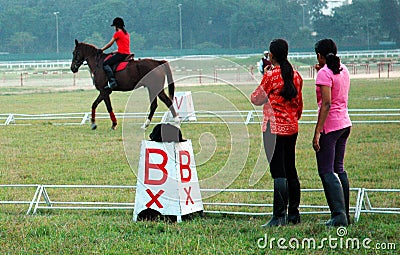 Young horse rider Editorial Stock Photo