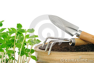 Young impatiens flowers and gardening tools Stock Photo