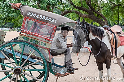 A young Indian boy sitting in a horse cart at the tourist site of the Vellore Fort Editorial Stock Photo