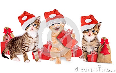 Young kitten with Christmas hats and gifts Stock Photo