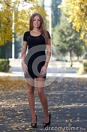 Young lady in cocktail dress and high-heeled shoes Stock Photo