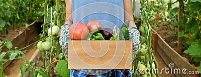 Young lady with a vegetable in a greenhouse Stock Photo