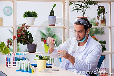 Young male chemist perfumer working in the lab Stock Photo