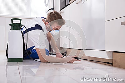 Exterminator Worker Spraying Insecticide Chemical Stock Photo