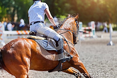 Young male horse rider on show jumping competition Stock Photo