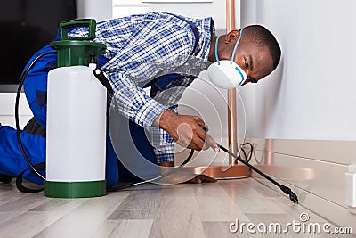 Male Worker Spraying Pesticide Stock Photo