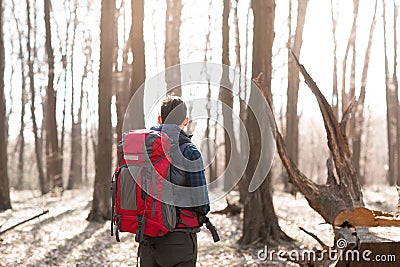 Young man with backpack hiking in the forest Stock Photo