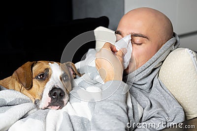 Young man blows his nose in a paper handkerchief lying in bed with his dog. Stock Photo
