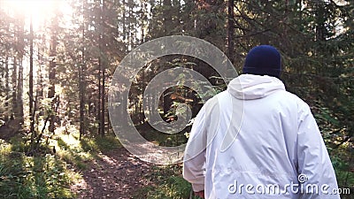 Young man on camping trip. Concept of freedom and nature. View of man from back walking in woods along path on sunny Stock Photo
