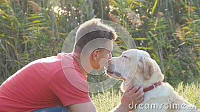 Young man caress, hugging and kissing his labrador outdoor at nature. Playing with golden retriever. Dog licking male Stock Photo