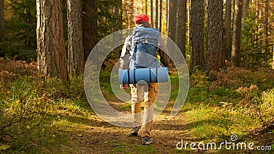 Young Man Hiking in Forest in Autumn. Active Healthy Caucasian Tourist With Backpack Walking in sunshine Wood. Male Stock Photo