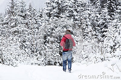 Young man hiking in wintry forest landscape Stock Photo