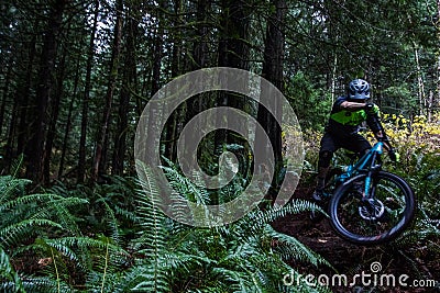 Young man on mountain bike Editorial Stock Photo