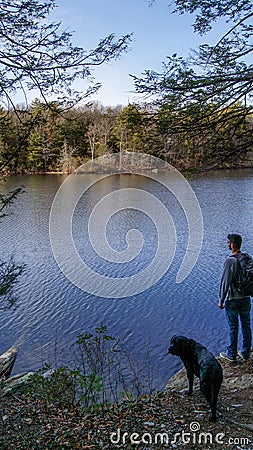 Young man observing peaceful lake during a hiking walk with his dog in Autumn. Massachusetts, New England. USA Editorial Stock Photo