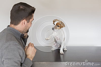 young man playing with his cute small dog. handshake between man and dog - High Five - teamwork. Pets indoors, love for animals Stock Photo