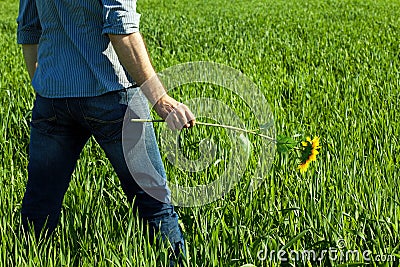 Young man standing with a sunflower Stock Photo