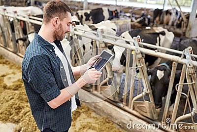 Young man with tablet pc and cows on dairy farm Stock Photo