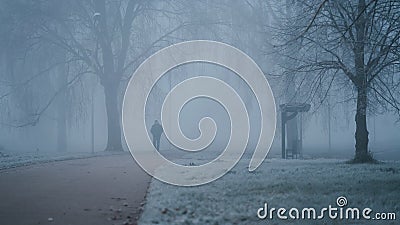 Young man walking through the city park on a foggy and cold autumn morning. Front view. Peaceful atmosphere. Stock Photo