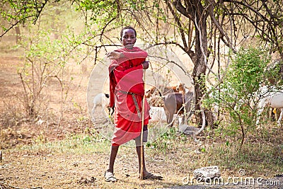 Young Masai herders herd in savannah. Tanzania. Editorial Stock Photo