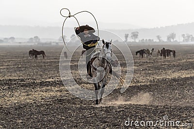 A Young Mexican Charro Cowboy Rounds Up A Herd of Horses Running Through The Field On A Mexican Ranch At Sunrise Stock Photo