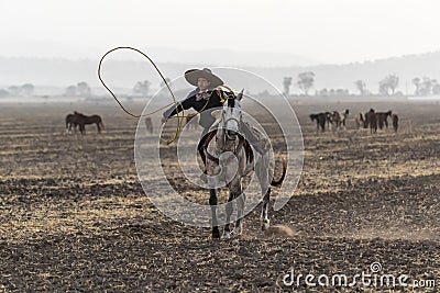 A Young Mexican Charro Cowboy Rounds Up A Herd of Horses Running Through The Field On A Mexican Ranch At Sunrise Stock Photo