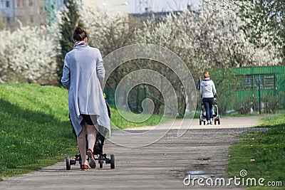 Young mother walking in park with baby in trolley Editorial Stock Photo