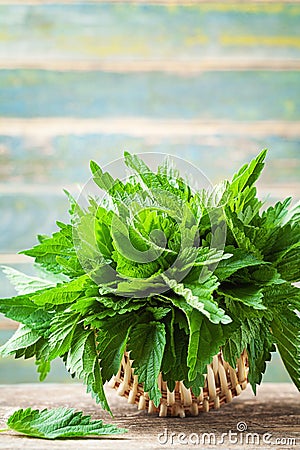 Young nettle leaves in basket on wooden rustic background, stinging nettles, urtica Stock Photo