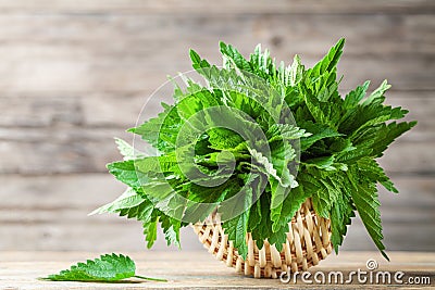 Young nettle leaves in basket on wooden rustic background, stinging nettles, urtica Stock Photo