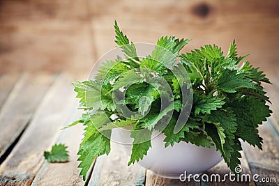 Young nettle leaves in pot on rustic background, stinging nettles, urtica Stock Photo