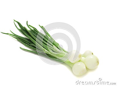 Young onion Stock Photo