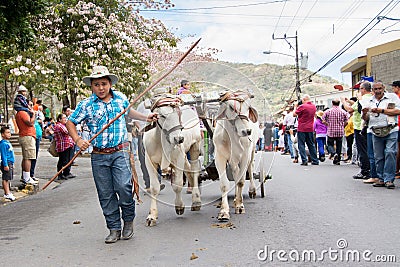 Young cowboy Editorial Stock Photo