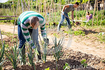 Young pakistani man farmer during working with garlic Stock Photo