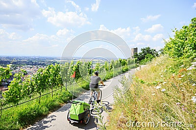 Young Parent Cycling With Bike Trailer Stock Photo