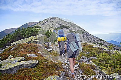 Young people are hiking in Carpathian mountains in summertime Editorial Stock Photo