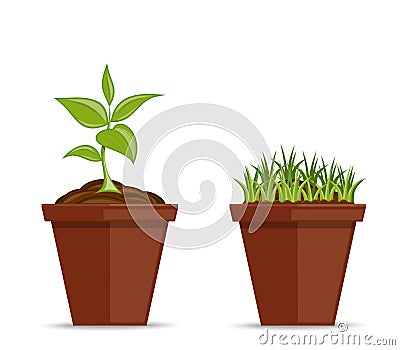 A young plant in a flower pot Vector Illustration