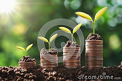 young plant growing step on coins. concept finance and accounting Stock Photo