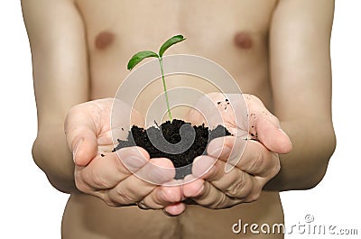 Hands of farmer Stock Photo