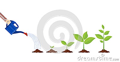 Young plant with watering can Vector Illustration