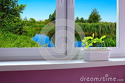 Young plants on the window sill of window overlooking the lake Stock Photo