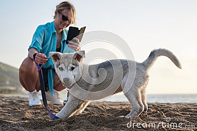 Young pretty blond woman, taking picture on her phone of her small husky puppy. Owner and the light grey dog, playing on the sandy Stock Photo