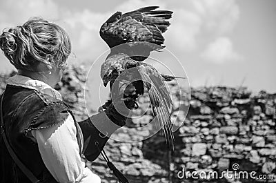 Young pretty Falconer with his falcon, used for falconry, Editorial Stock Photo